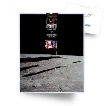 Apollo 11 Flown CM Kapton Foil Artifact #2