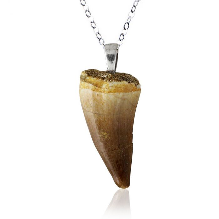 Mosasaur Tooth Fossil Pendant main product photo