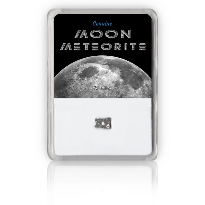 Large Moon Meteorite main product photo