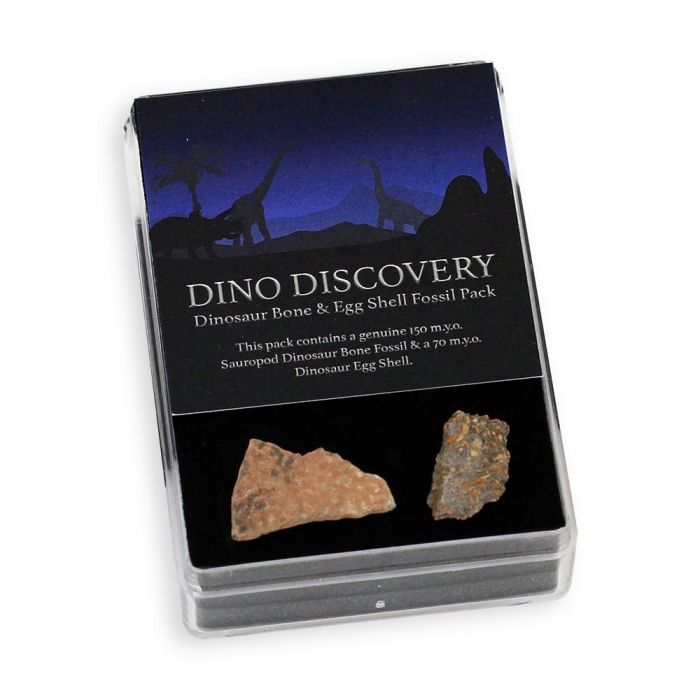 Dinosaur Discovery Fossil Gift Pack main product photo