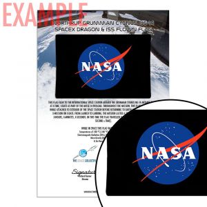 Grumman & SpaceX & ISS Flown NASA Flag / MISSE-14