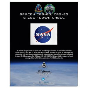 SpaceX & ISS Flown NASA Vector Label