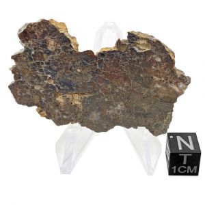 10.20g Moon Meteorite End Slice / Laayoune 002