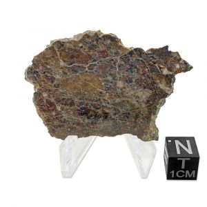 8.70g Moon Meteorite Slice / Laayoune 002
