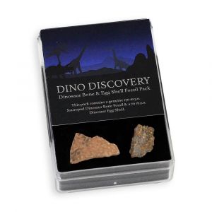 Dinosaur Discovery Fossil Gift Pack