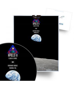 Apollo 8 Flown Command Module Thermal Foil Artifact