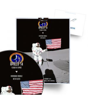 Apollo 14 Flown Command Module Beta Artifact