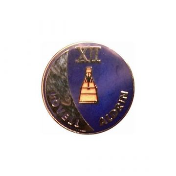 Gemini 12 Pin