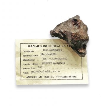 Mundrabilla Iron Meteorite 102g