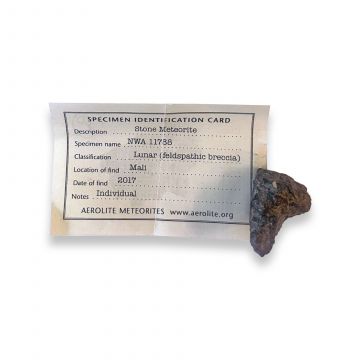 NWA 11788 Lunar Meteorite 8.6g