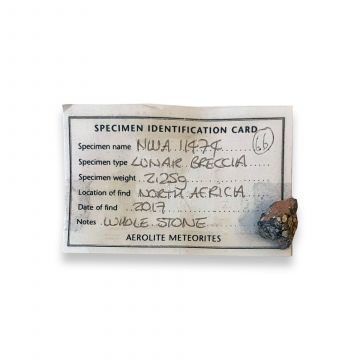 NWA 11474 Lunar Meteorite 2.2g