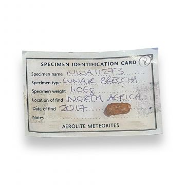 NWA 11273 Lunar Meteorite 1g