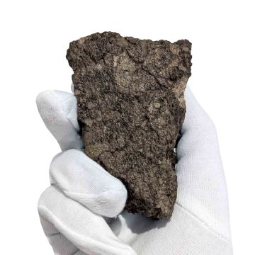 384g Moon Meteorite / Laayoune 002