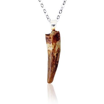 Spinosaurus Tooth Fossil Pendant
