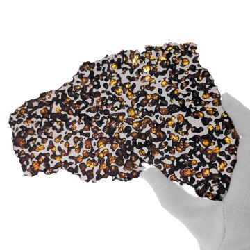 249g Borzya Pallasite Meteorite