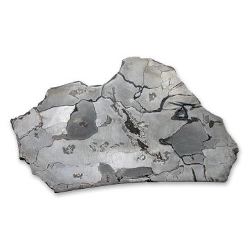 494.97g Agoudal Iron Meteorite Slice