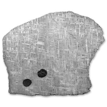 799g Muonionalusta Iron Meteorite Slice