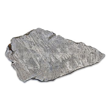 288g Aletai Iron Meteorite Slice