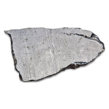 216g Aletai Iron Meteorite Slice