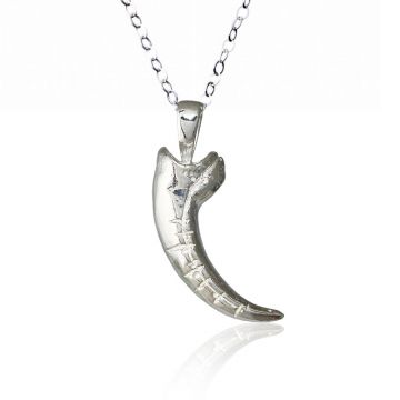 Sterling Silver Raptor Claw Pendant