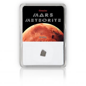 Large Mars Meteorite
