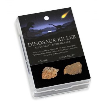 Dinosaur Killer Meteorite & Fossil Gift Pack