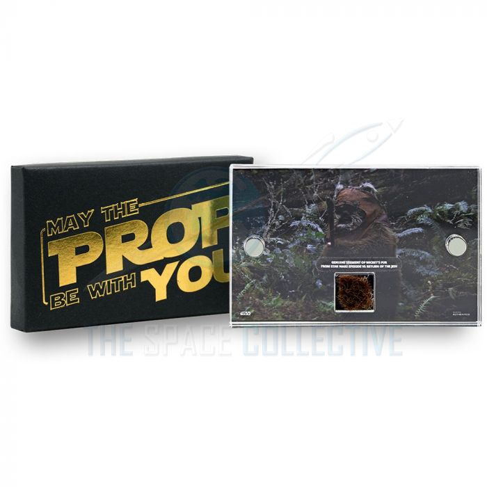 Star Wars - Return of the Jedi (1983) Wicket Ewok Fur Prop main product photo