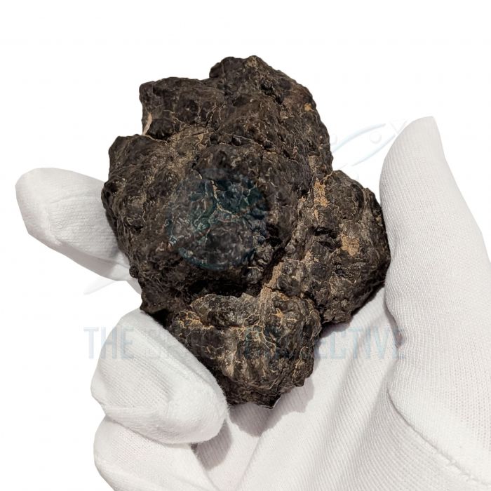 371g Moon Meteorite / Laayoune 002 main product photo