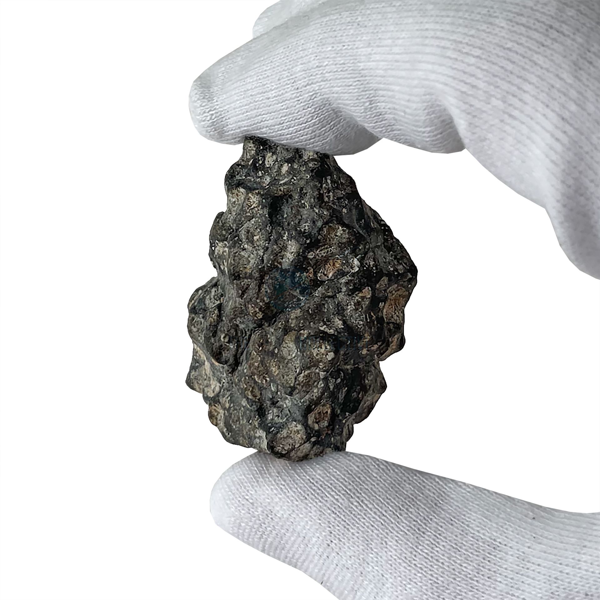【新品】spicygem meteorite leg's ver.SADA5.0 32.64g Moon Meteorite / Lahmada 020