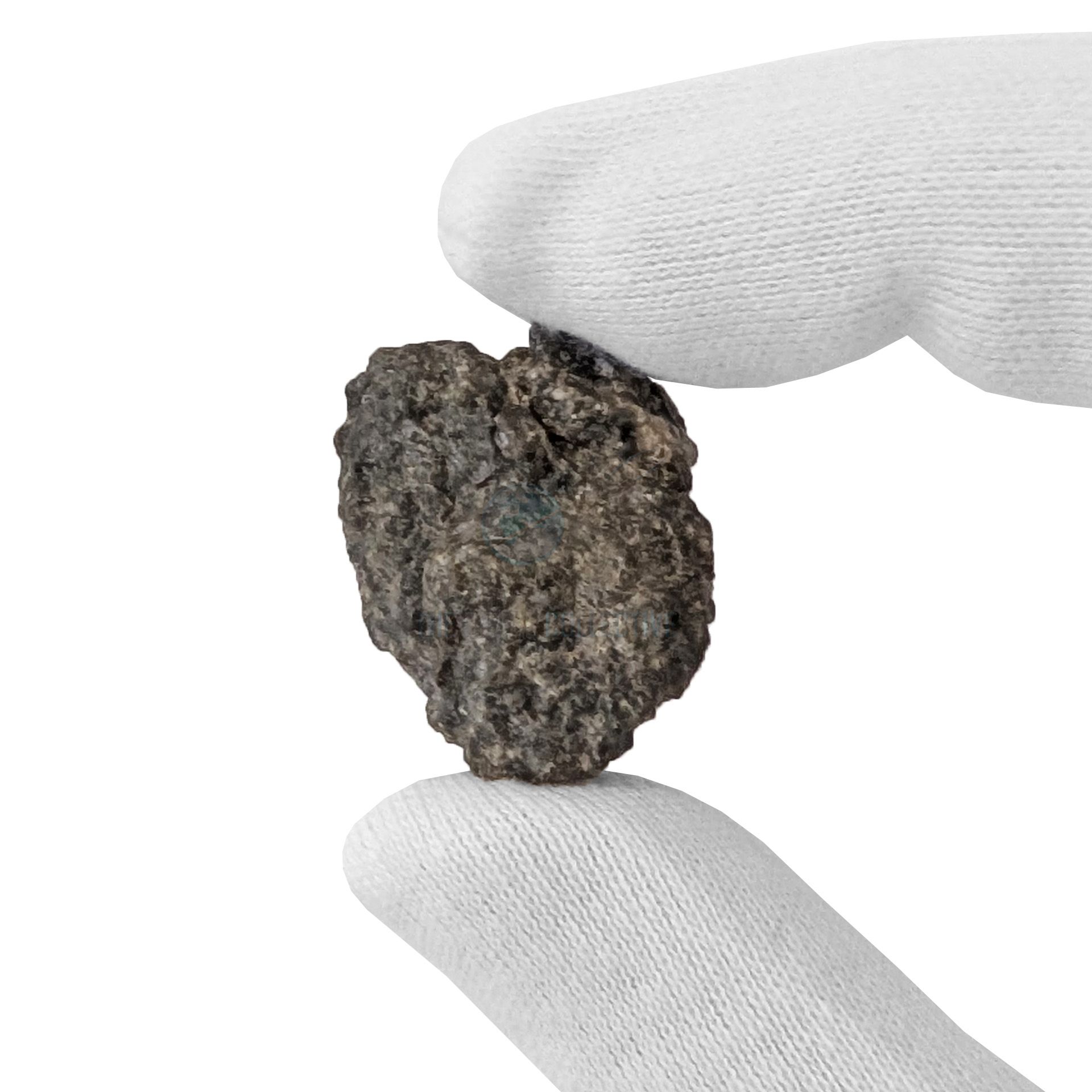 11.00g Moon Meteorite / Laayoune 002