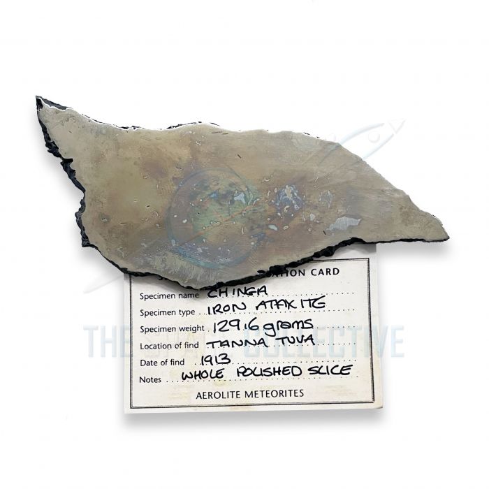 Page City meteorite. Rarely offered iron -