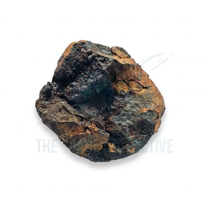Wolf Creek Iron Meteorite 251g