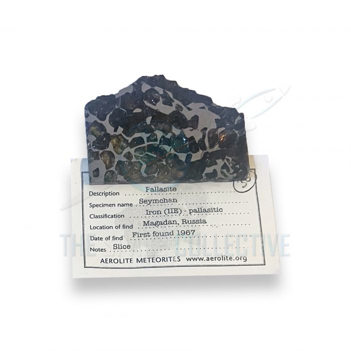 Seymchan Pallasite Meteorite 24.3g main product photo