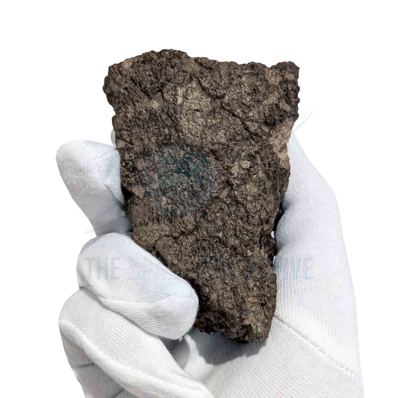 384g-moon-meteorite-laayoune-