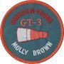 Gemini 3 Patch