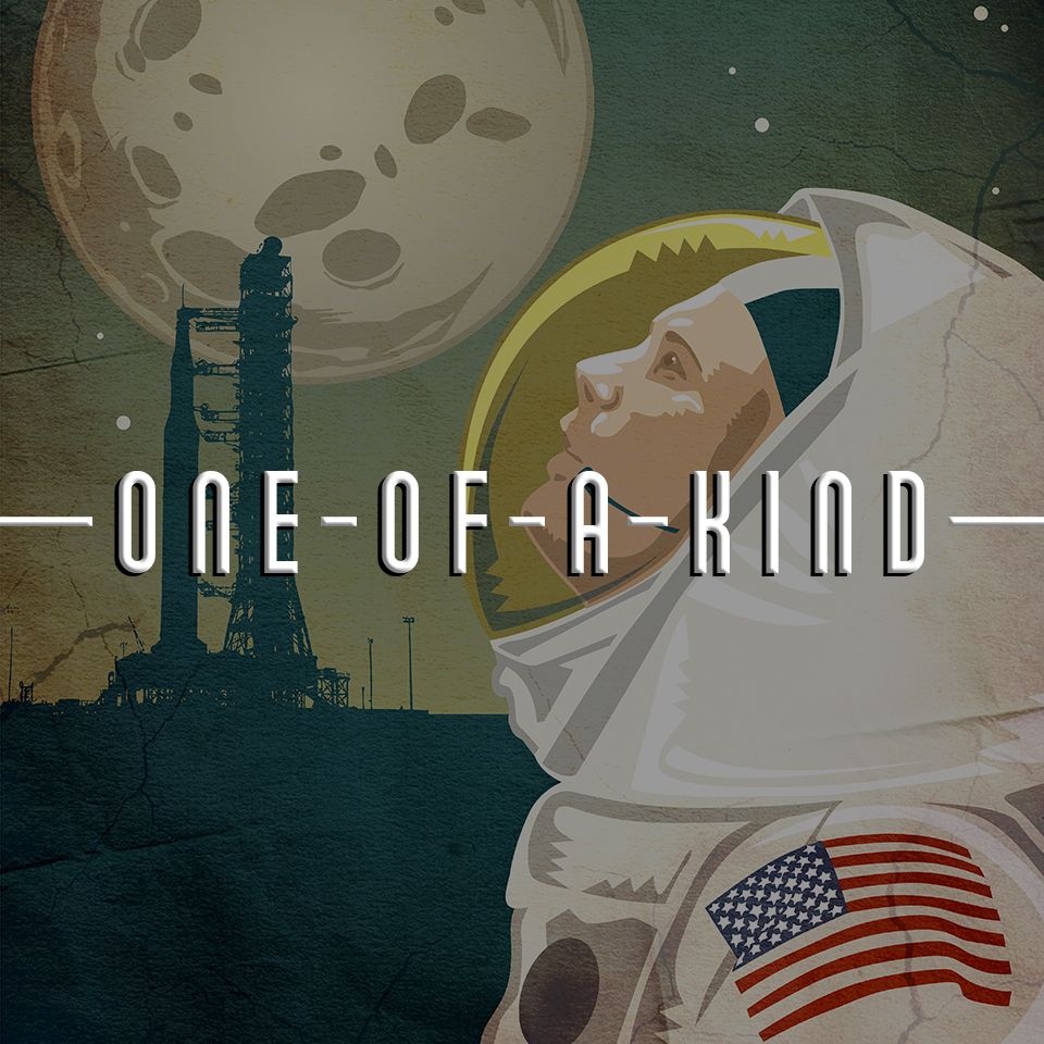 One of a kind space memorabilia such as Neil Armstrong autographs and Apollo 11 flown artifacts.